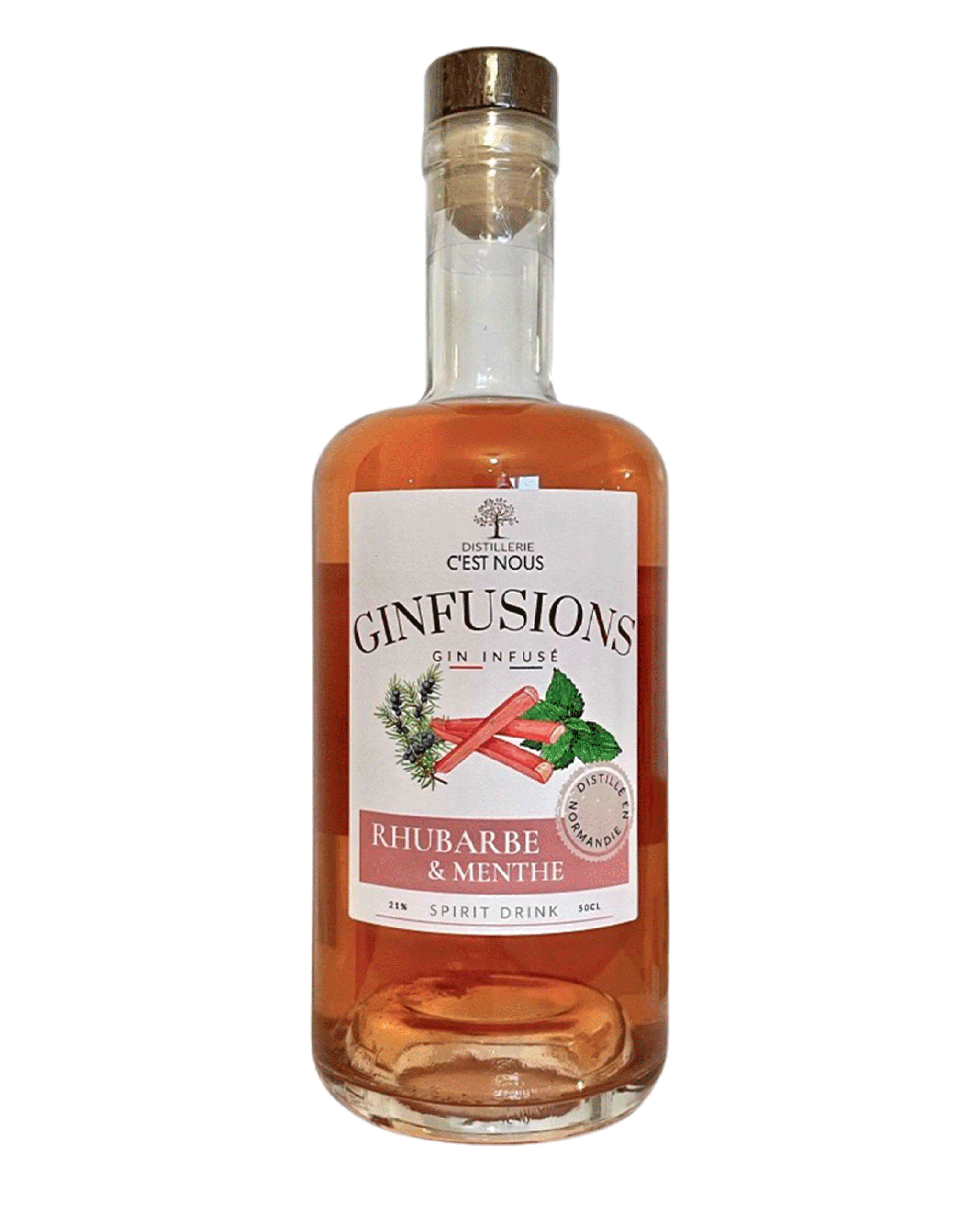 GINFUSION RHUBARBE MENTHE